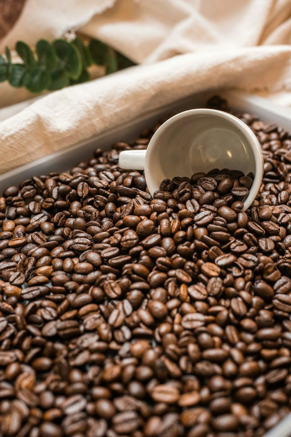 Roasted coffee
