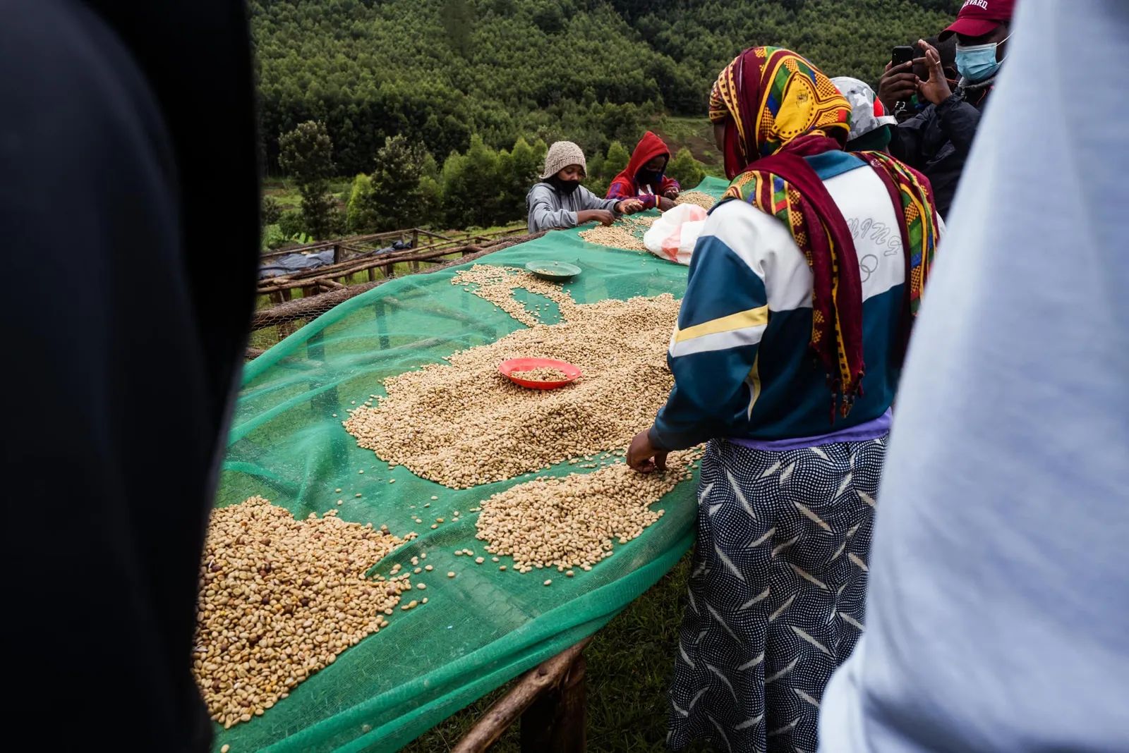 Rwanda: what a drying bed tells you about a lot